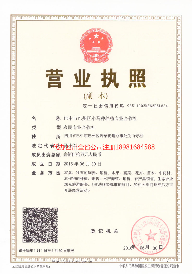 东港东港小马种养殖专业合作社